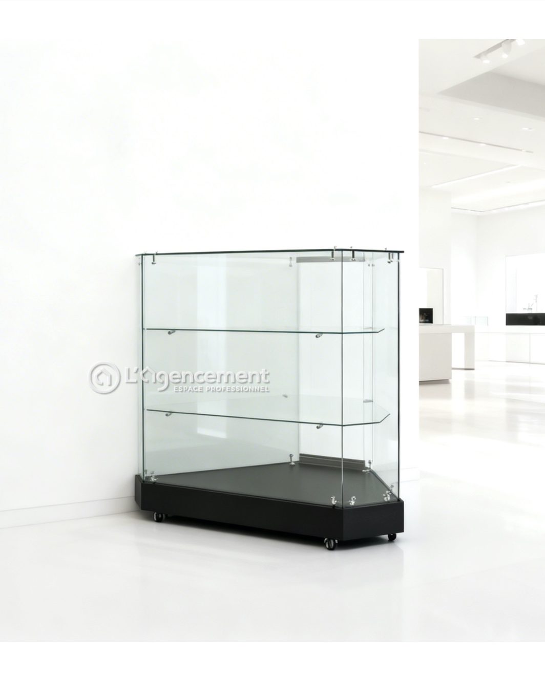 VITRINE D'ANGLE 100