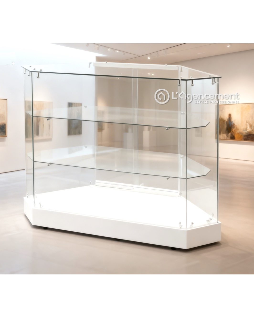 VITRINE D'ANGLE 100