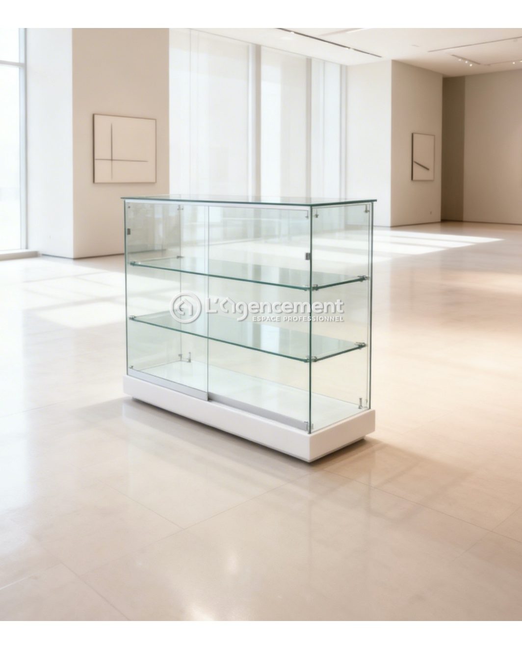 VITRINE BASSE 100