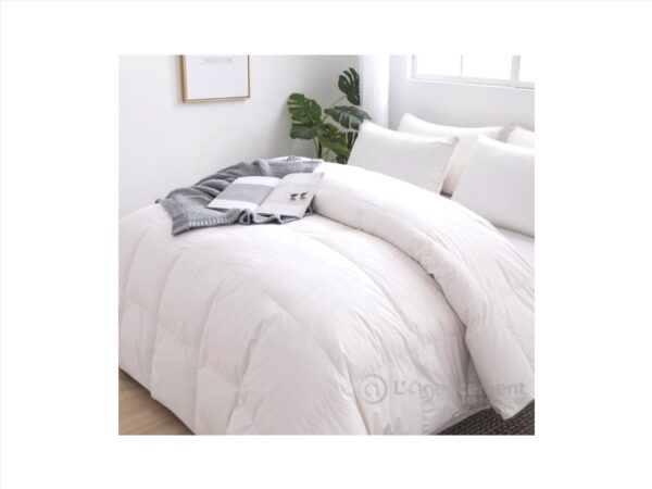 COUETTE POLYESTER 220X240CM 550GR
