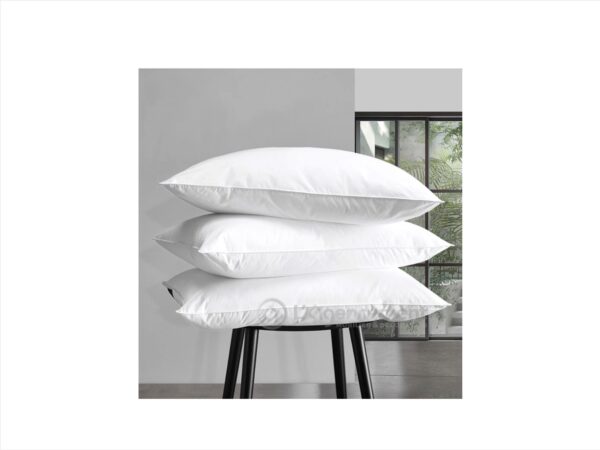 OREILLER CONFORT 60x60cm