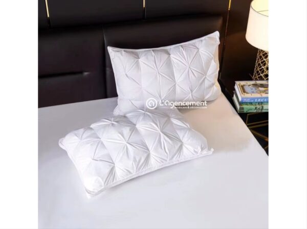 OREILLER OPALIA PLUME 60X60CM