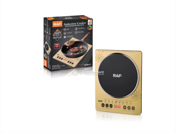 PLAQUE DE CUISSON INDUCTION