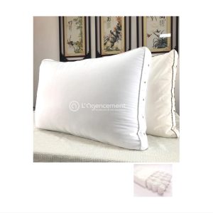 OREILLER LUXE 60X60CM