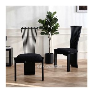 CHAISE SALVANE